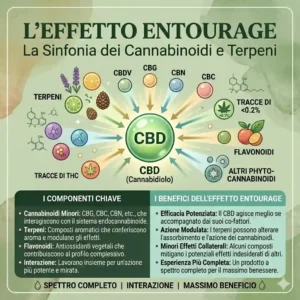 Leffetto entourage il fattore decisivo