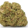 Fiori di cannabis light California Haze coltivata in aeroponica WeWeed: cime compatte verde brillante e tricomi cristallini