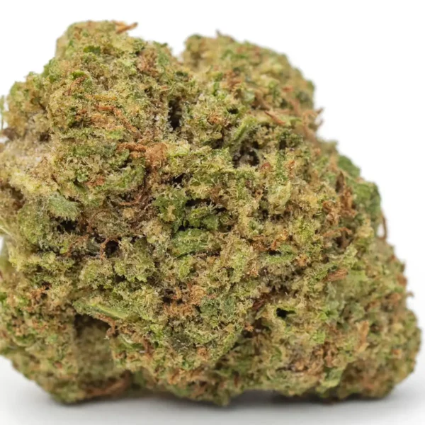 Fiori di cannabis light California Haze coltivata in aeroponica WeWeed: cime compatte verde brillante e tricomi cristallini