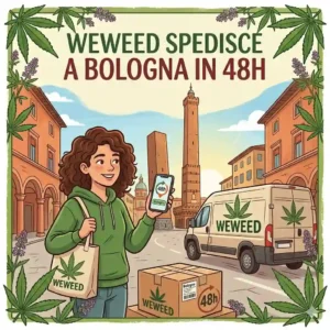Guida ai luoghi e modalità per comprare cannabis light a Bologna e in Emilia-Romagna nel 2026
