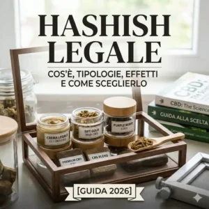 Hashish Legale Cosè Tipologie Effetti e Come Sceglierlo Guida 2026 1