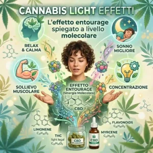 Cannabis light effetti sul corpo: sistema endocannabinoide e recettori CB1 CB2