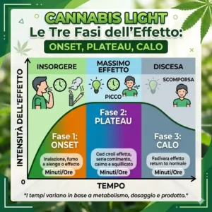 Tabella durata effetto cannabis light per modalità di assunzione