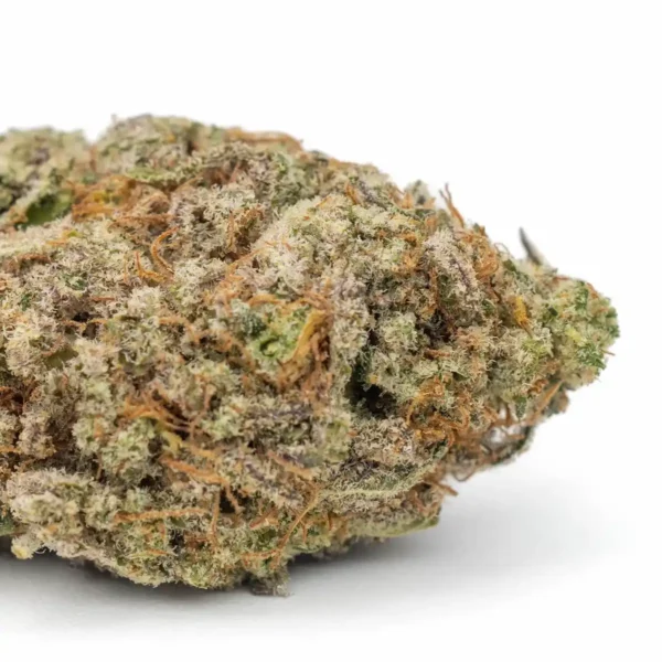 Sour Diesel Baby Buds Premium