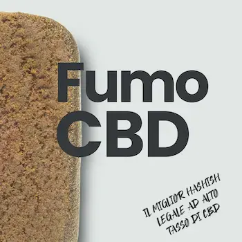 Hashish legale CBD — categoria WeWeed