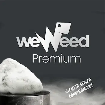 Cannabis legale premium — le migliori genetiche WeWeed