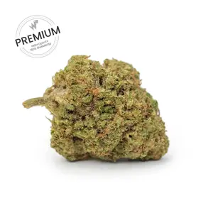 California Haze WeWeed - infiorescenze sativa compatte, CBD 53%