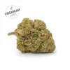 Close-up of a dense cannabis bud with frosty trichomes on a white background, featuring green and orange hues and a Premium stamp in the corner.