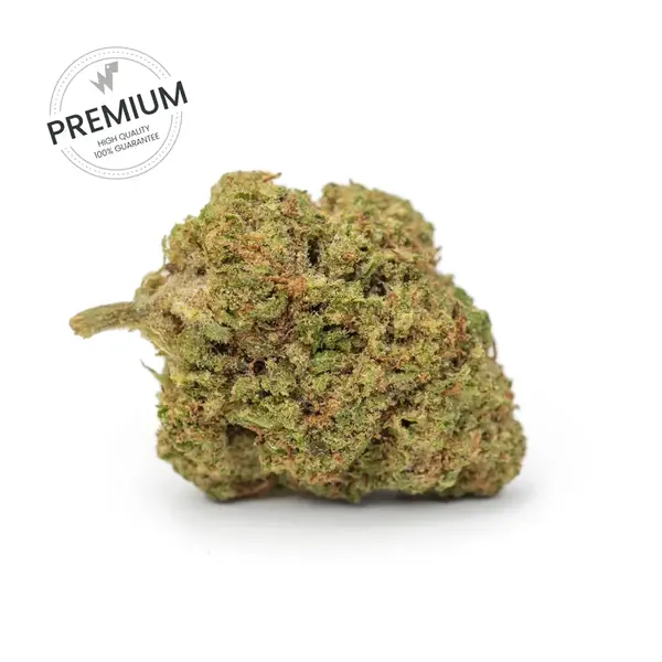 Close-up of a dense cannabis bud with frosty trichomes on a white background, featuring green and orange hues and a Premium stamp in the corner.