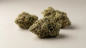 Dove comprare cannabis light a Bari: negozi, delivery e acquisto online 2026