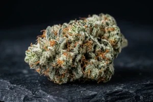 Cima di Gorilla Glue CBD ricoperta di tricomi, cannabis light resinosa