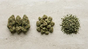 Confronto tra small buds, cime grandi e trinciato di cannabis light su superficie neutra