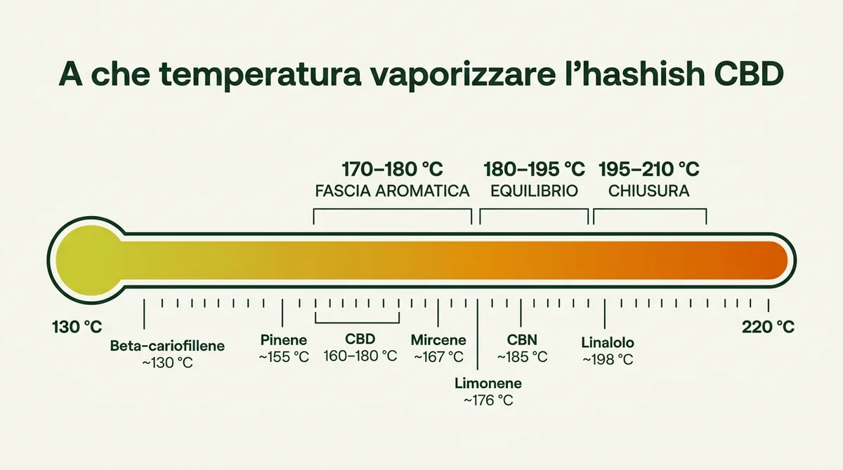 Tabella temperature di vaporizzazione hashish CBD: cannabinoidi e terpeni con punti di ebollizione
